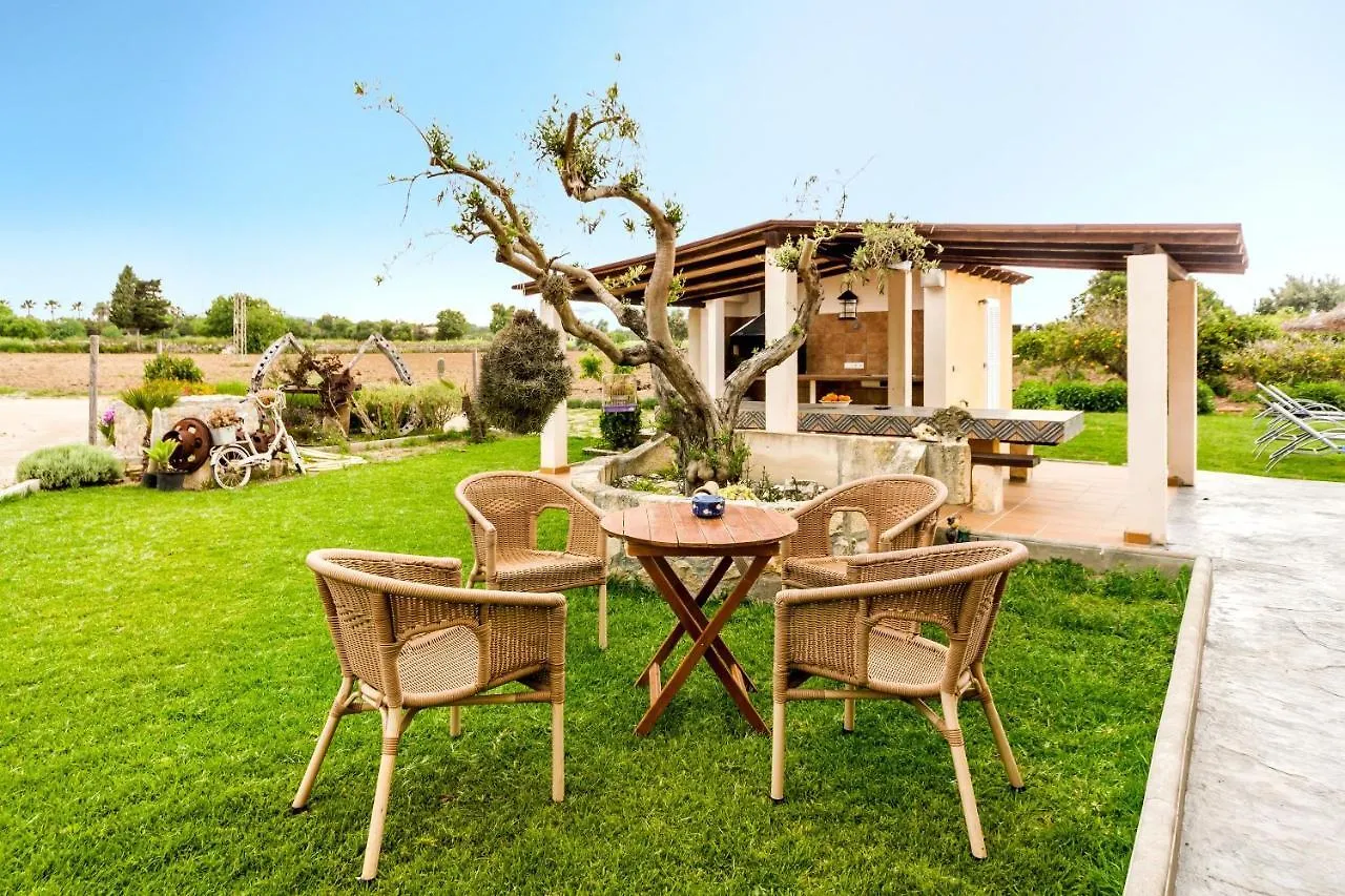 Villa Damian 12 Alcudia